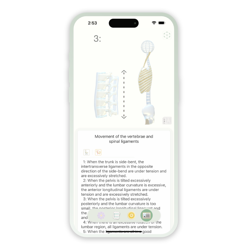posture manual 3D mode